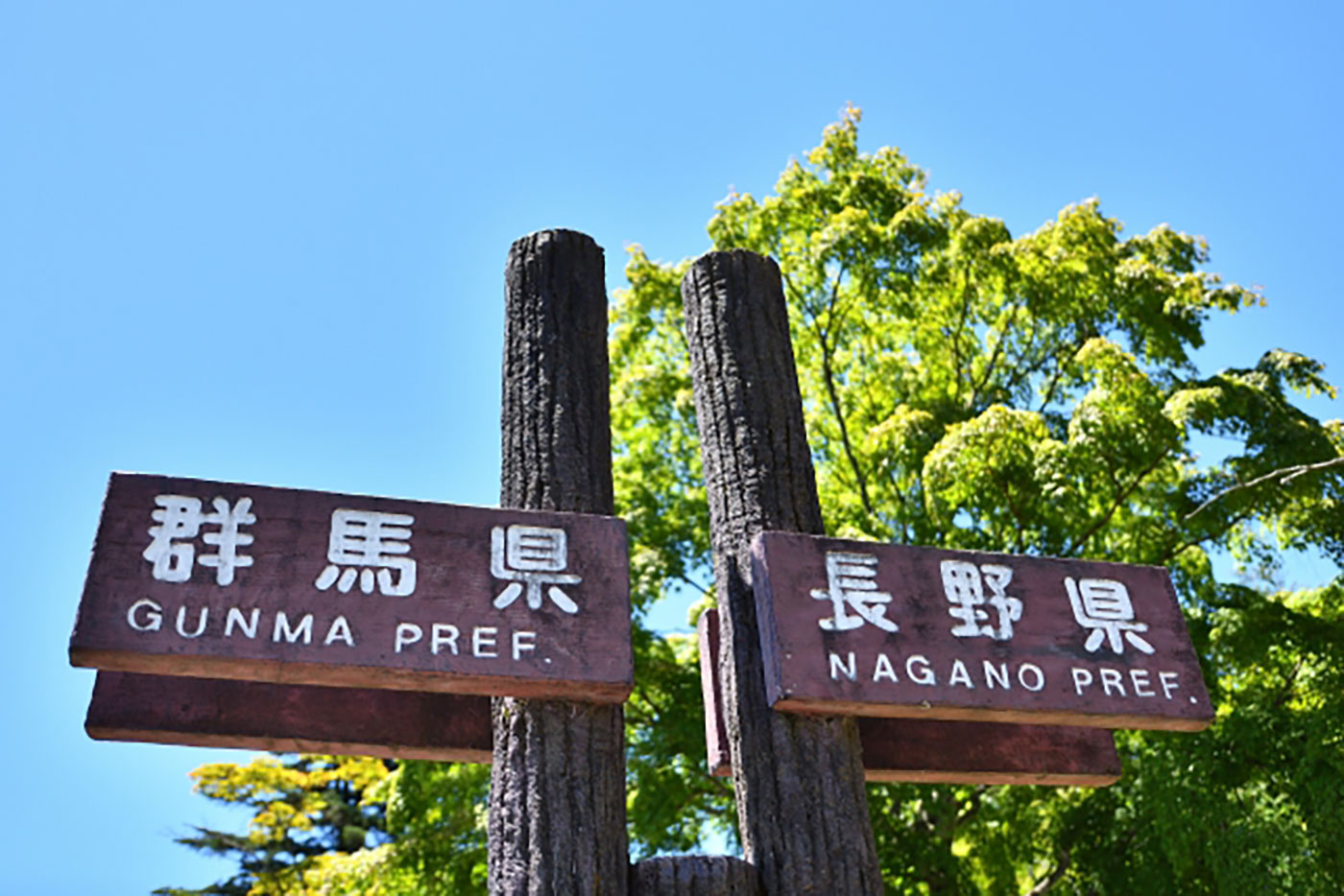 碓氷峠を越えて長野へ行くならランチはどこ？横川・旧道・軽井沢の食事スポット